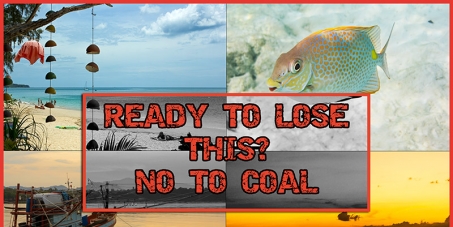 Don't Let Our Corals Become Coal !