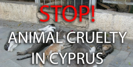 Stop Animal Cruelty in Cyprus