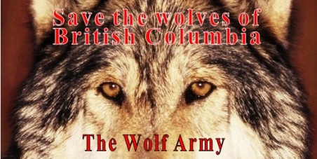 Stop the killing of wolves to protect Mountain- and Woodland Caribou in British Columbia.