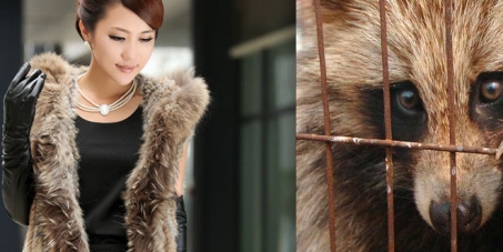 Stop eBay selling fur from Chinese Fur Farms