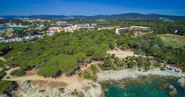 Ajuntament de Palamós, Sr. Lluís Puig Martorell: Aturem les obres a la pineda d'en Gori