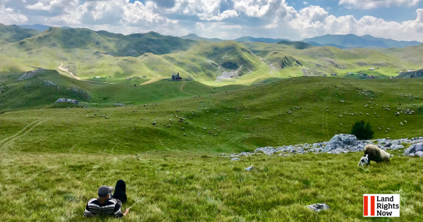 &iexcl;Salva la naturaleza y las comunidades locales de Sinjajevina!