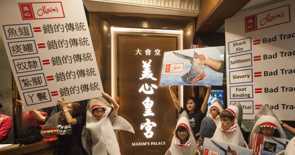 Maxim's Restaurants in Hong Kong: STOP Selling Shark Fin!