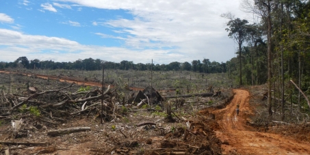 Stop Bulldozing the World´s Most Bio-Diverse Rainforest.