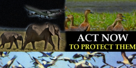 Stop the process of destroying sources of the wildlife in Mattala, Sri Lanka