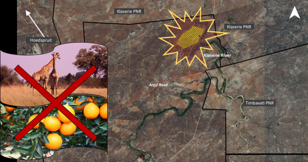 Prevent a citrus development from compromising South Africa's largest Protected Area