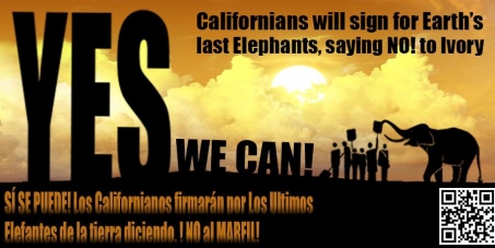 California Governor Jerry Brown & CDFW Director Charlton H. Bonham: End the Ivory Trade in the State of California!