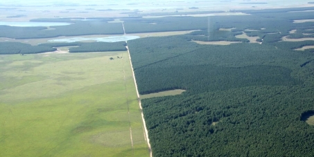 Que Harvard detenga la destrucción ambiental y social en la zona de la Reserva Iberá