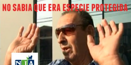 PROTEGER A TORTUGA DE CHINCHORRO - SANCIÓN EJEMPLAR  PARA JUAN REYES AVILA