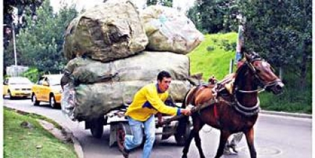 retirar de las calles de cali los caballos que son utilizados como vehiculos de traccion a sangre