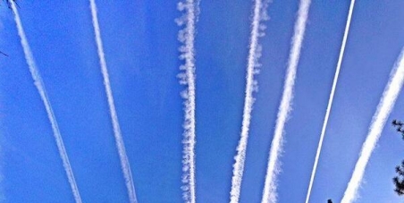 The Government of the UK, David Cameron: Stop Geo-engineering immediately. No More chemical spraying by air