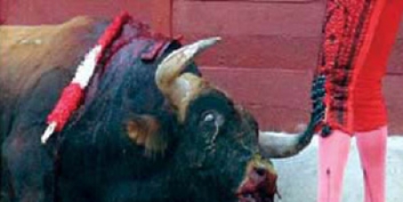 No subsidies for bullfights!