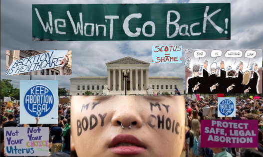 Overturning Roe v. Wade: American Bar Association Investigate Justices who lied under Oath