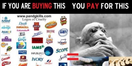 Stop P & G form torturing & testing their products on animals.