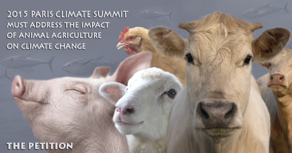 2015 UN Climate Conference must address the impact of animal agriculture on climate change