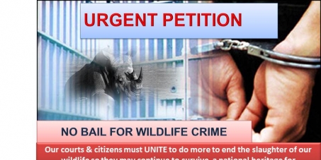 NO BAIL FOR ACCUSED - WILDLIFE CRIMES