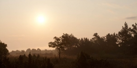 Rädda gotlands skyddade natur från kalkbrytning