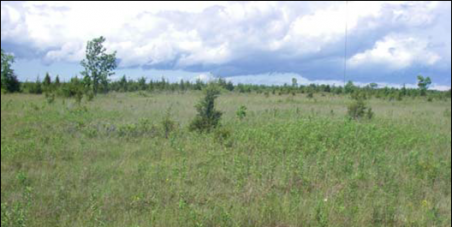 Save Ostrander Point In Prince Edward County