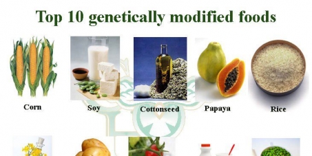 Insist on GMO content on labels in South Africa