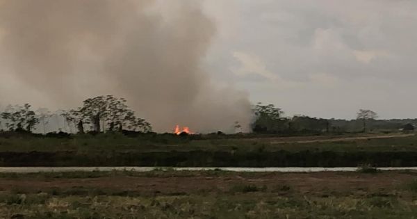 Vervolg de brandstichters van Paramaribo-Noord!