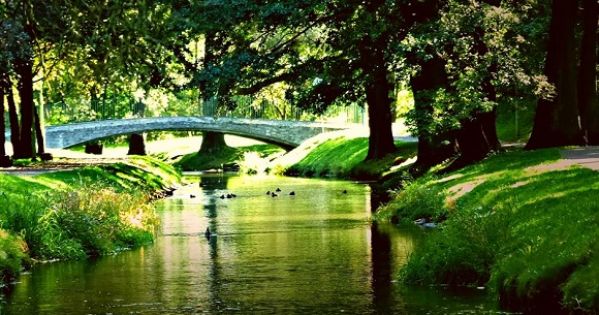 Zebraliśmy 375 podpisów pod naszą petycją! Dziękujemy <3