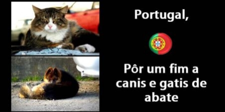 Portugal, Pôr um fim a canis e gatis de abate. Ajudar sim. 