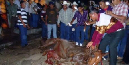 Horses eviscerated alive for fun.