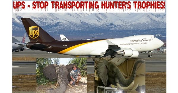 David P. Abney, CEO of UPS: Stop Transporting Hunter's Trophies!