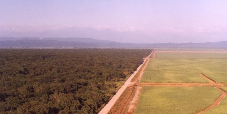 Gobernador de la Provincia de Jujuy, Argentina. Dr. Eduardo Fellner: Proteja el último relicto de bosque Chaqueño de Llanura de Jujuy