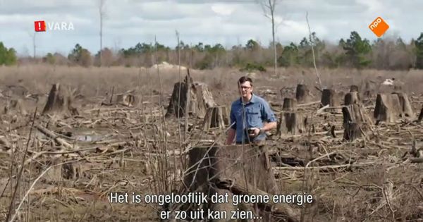 Nederlanders: Subsidie op biobrandstof, nee bedankt!