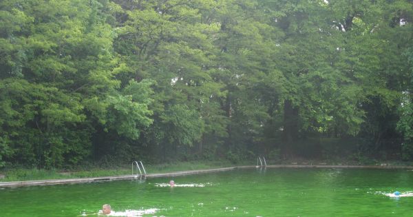 De zwembaden zijn terug ooen