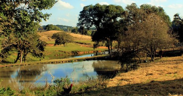 Diga NÃO ao traçado do Contorno Norte de Curitiba