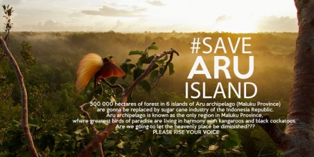 Save Aru Islands from Deforestation & Exploitation!