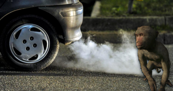 NIE dla najbardziej trujących aut w miastach!