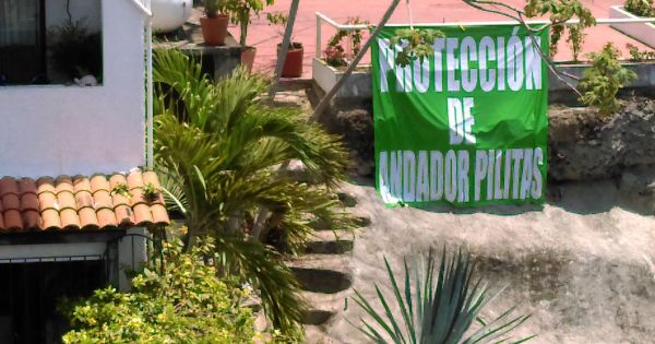 Neighbors, residents tourists of Puerto Vallarta : Save our Calle Pilitas Stairway! Guarde nuestra Anador