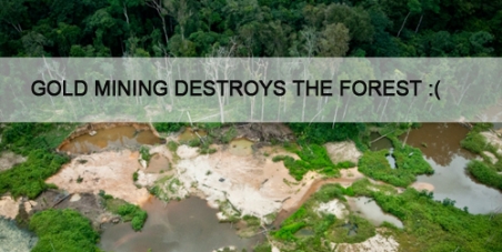 Stop Gold Mining in the National Park of French Guiana