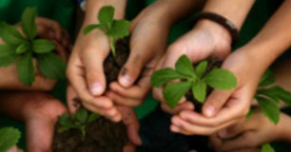 Mais uma vitória para a Educação Ambiental em Minas Gerais!