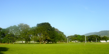 SAVE OUR ORANGE GROVE SAVANNAH, TACARIGUA, TRINIDAD.  A TINY GREEN SPACE IN A CROWDED URBAN AREA - KEY NATIONAL AQUIFER