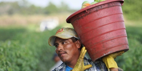 Wendy's CEO Emil Brolick : Commit to farmworkers' human rights in Wendy's supply chain!