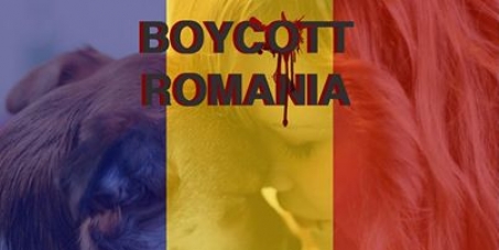 Boycott the request of Romania to enter in Schengen until it will solve in civilized mode the problem of strays