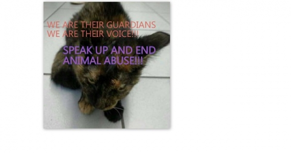 Ministers van Dierenwelzijn en Justitie!DIERENPOLITIE in elke gemeente en NULTOLERANTIE dierenmishandeling!!!