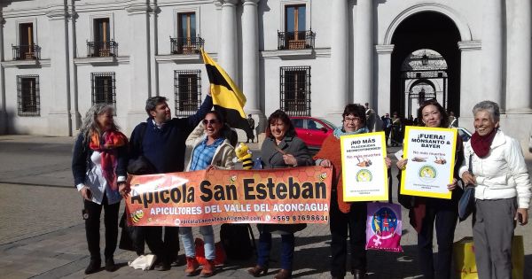 ¡A prohibir los neonicotinoides ya para salvar las abejas!