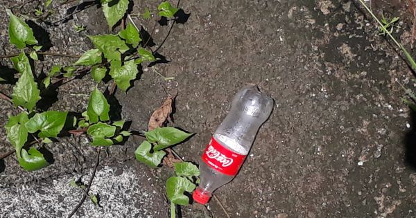 Coca Cola- Please Go Back to Bottling in Glass to Save the Planet!
