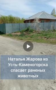 Защитим приют для животных в Казахстане