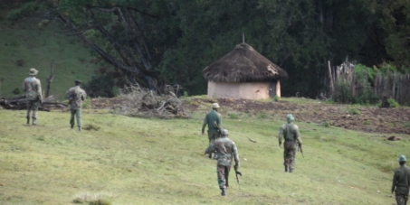 Government of Kenya: Stop forceful and illegal eviction of Sengwer people in Embobut Forest