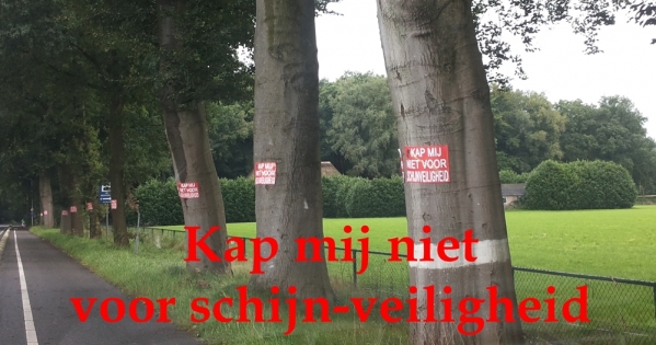 Stop kap en Red Bomen langs N wegen