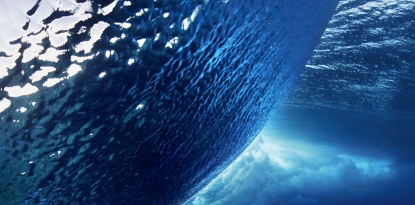 les responsables politiques et économiques du Monde: de l'air