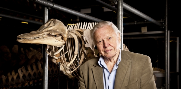 The BBC: David Attenborough as a guest on QI (Quite Interesting)
