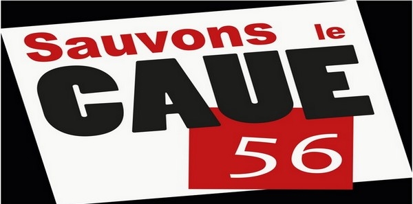 CAUE du Morbihan : une structure en danger 