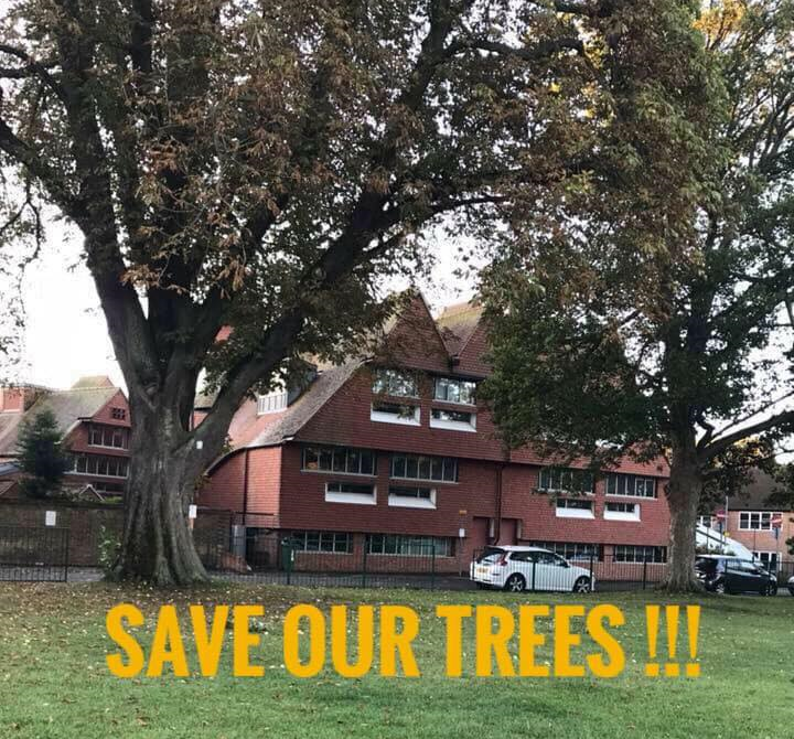 Dacorum Borough Council have saved the trees!